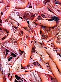 High angle view of carrots for sale at market