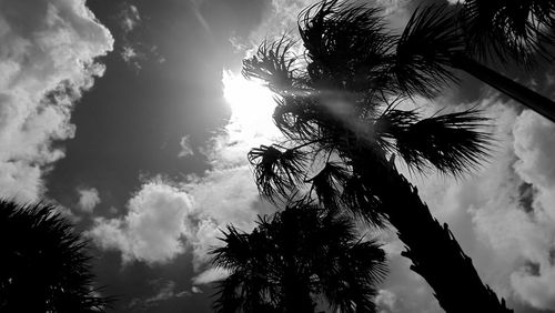 Low angle view of silhouette trees against sky