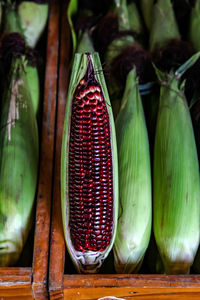 Close-up of fruits for sale in market