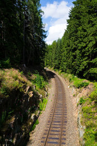 Railroad track amidst trees in forest against sky