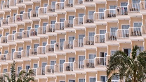 Low angle view of palm tree against building in city