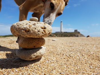 Close-up of rock on sand against sky