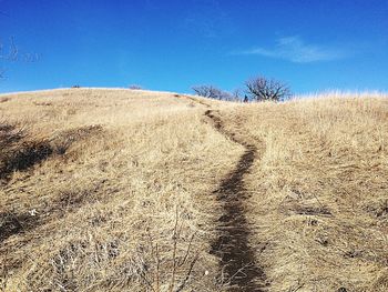 Scenic view of landscape against clear blue sky