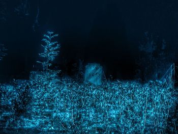 Illuminated lights at night
