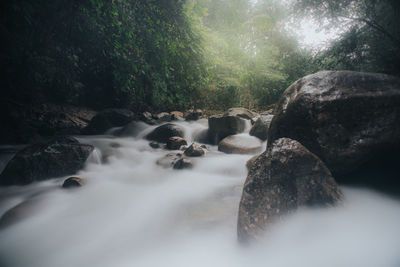 Stream flowing through rocks in forest