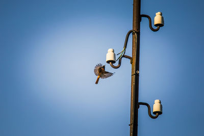 Low angle view of street light against blue sky