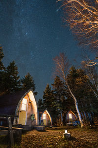 Low angle view of glamping cabins in a forest under a starry sky