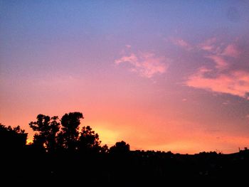 Silhouette of trees at sunset