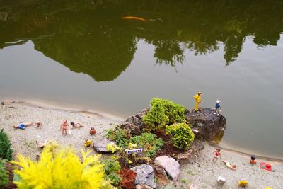 High angle view of ducks swimming in lake