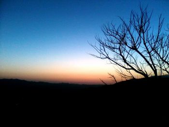 Silhouette of bare tree against clear sky