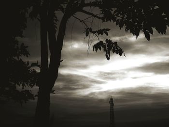 Low angle view of silhouette trees against sky