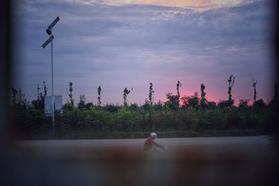 View of birds on land against sky