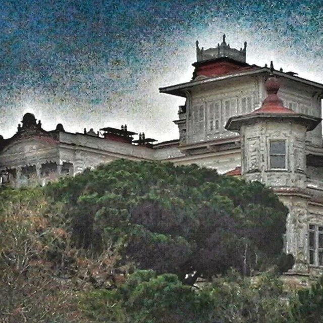 architecture, building exterior, built structure, place of worship, religion, sky, spirituality, tree, house, temple - building, low angle view, roof, church, plant, outdoors, cloud - sky, no people, growth, nature