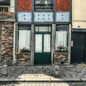 Potted plants on footpath against building