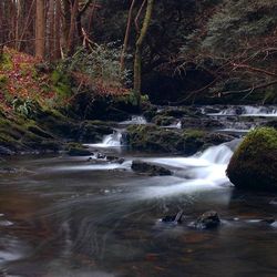 Scenic view of river flowing through rocks