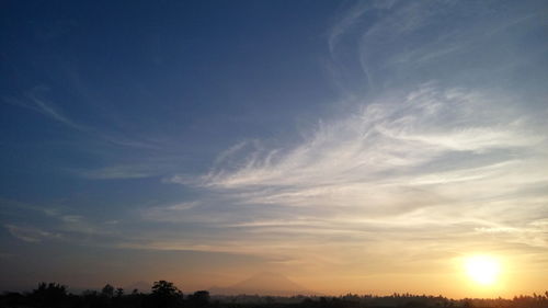 Silhouette trees against sky during sunset