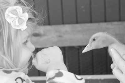 Close-up of cute girl feeding bird