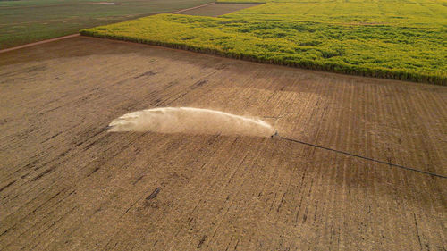 High angle view of cat on field