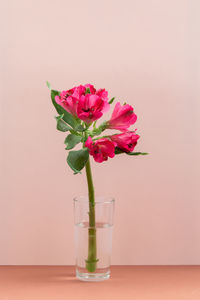 Close-up of pink flower vase on table