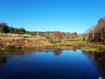 Scenic view of lake against clear blue sky