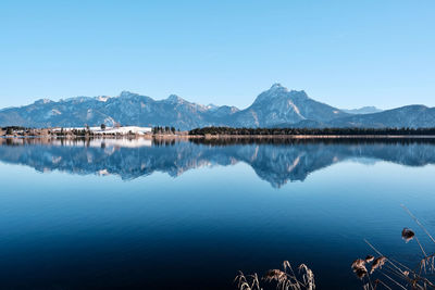 Scenic view of lake against clear blue sky