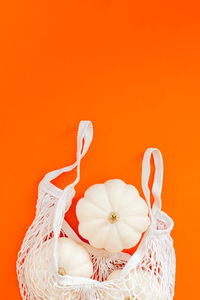 Close-up of white flowers against orange background