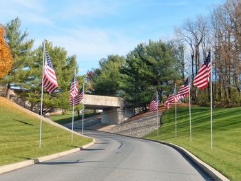 Flag by trees against sky