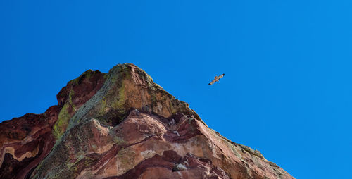Low angle view of bird flying against blue sky