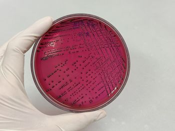 High angle view of drink on table