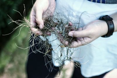 Close-up of hand holding plant