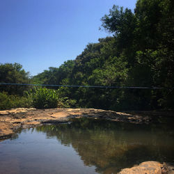 Scenic view of lake in forest against clear sky