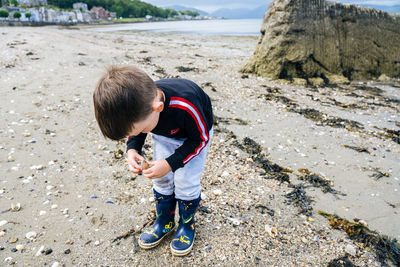 A young boy inspecting a seashell on a rocky beach.