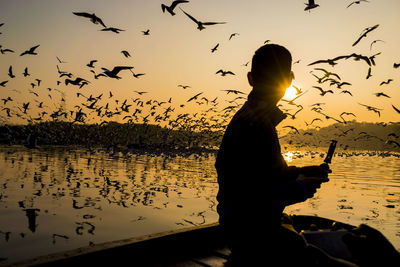 Silhouette man looking at birds flying over lake against sky during sunset