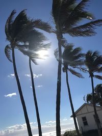 Low angle view of trees against sky