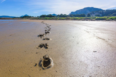 Human footprints in mud and sand marsh in pylos gialova lagoon, peloponnese, greece