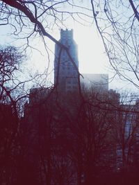 Low angle view of bare trees against sky