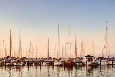 Sailboats moored in harbor at sunset