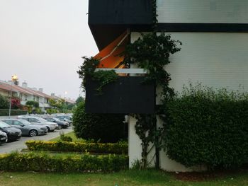 Cars parked in front of houses