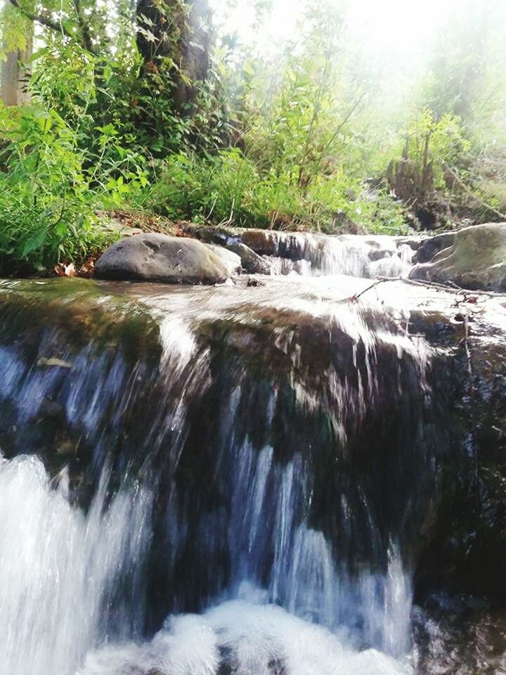 water, waterfall, flowing water, motion, flowing, long exposure, tree, forest, beauty in nature, nature, scenics, rock - object, stream, blurred motion, idyllic, river, splashing, growth, tranquility, green color