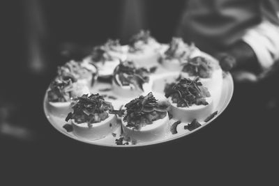 Close-up of ice cream in plate