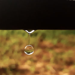 Close-up of spider web against blurred background