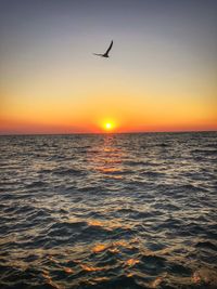 Silhouette birds flying over sea against clear sky during sunset