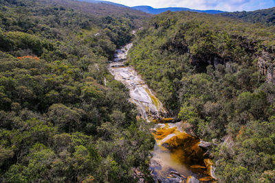 High angle view of waterfall in forest