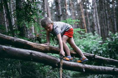 Full length of boy climbing on tree trunk in forest