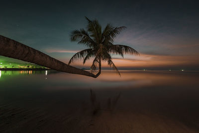 Palm tree by swimming pool against sky during sunset