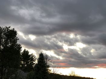 Low angle view of trees against cloudy sky