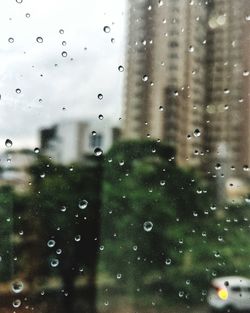 Close-up of waterdrops on glass against window