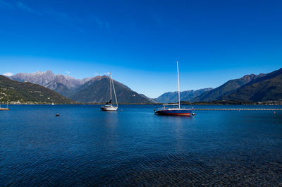 Sailboats in sea against blue sky