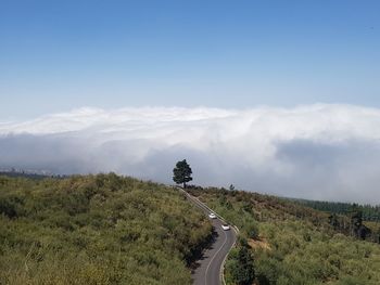 High angle view of road amidst trees against sky