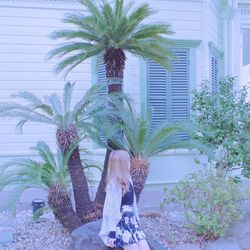 Low angle view of palm tree against plants